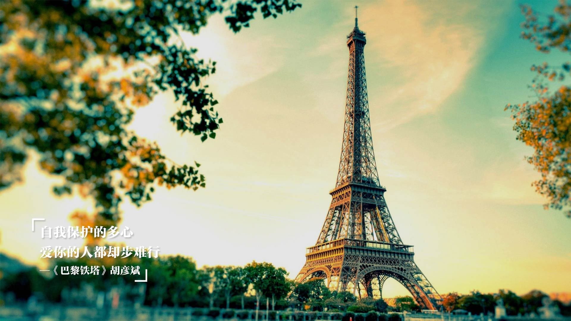 张常宁复出首战，女排粉丝泪目全场欢呼，张常宁女排的个人资料简介