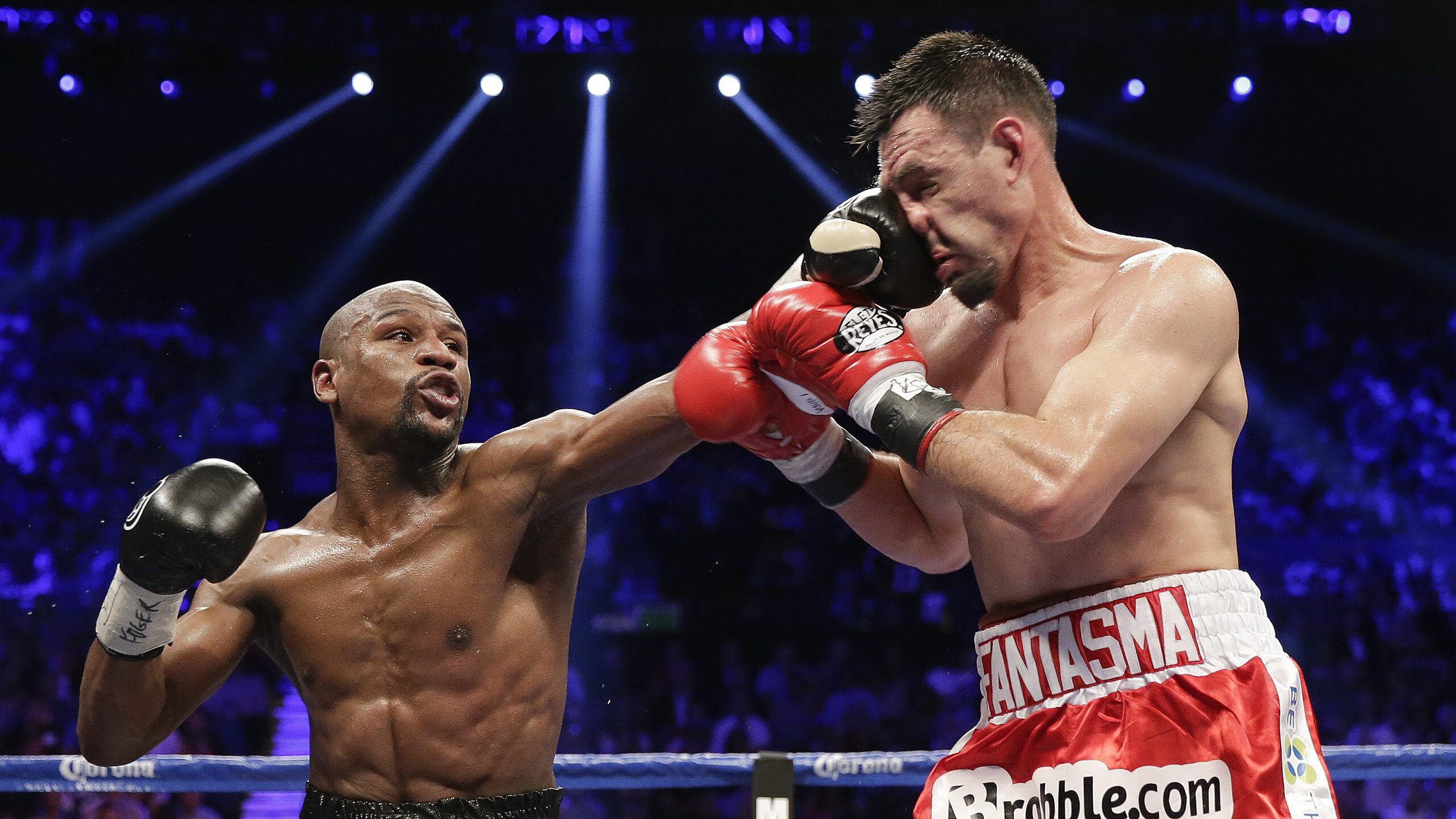 南非羚羊队:以灵活多变的战术打破僵局,每场比赛都充满悬念,羚羊非洲